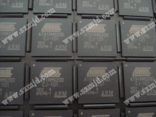 AT91RM9200CJ-101