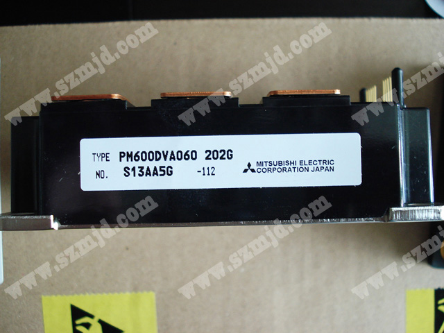 PM600DVA060