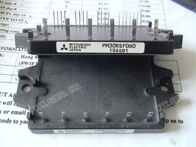 PM30RSF060