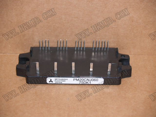 PM20CNJ060