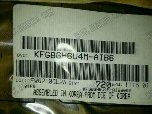 KFG8GH6U4M-AIB6