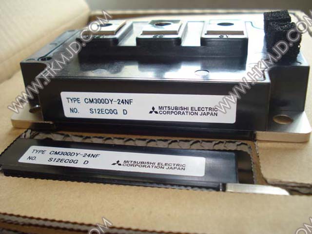 CM300DY-24NF