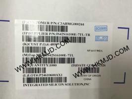 IS42S16100E-7TL