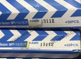 AMN13112