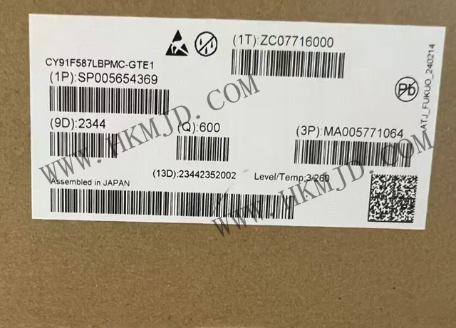 CY91F587LBPMC-GTE1